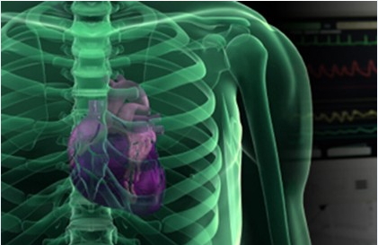 CORSO DI RIABILITAZIONE CARDIOLOGICA E DI PREVENZIONE CARDIOVASCOLARE